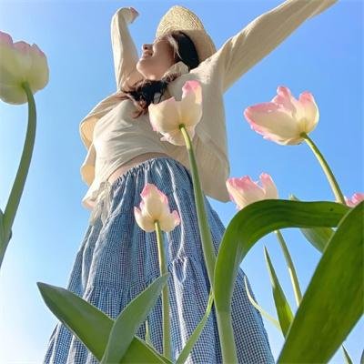 青雀成凰